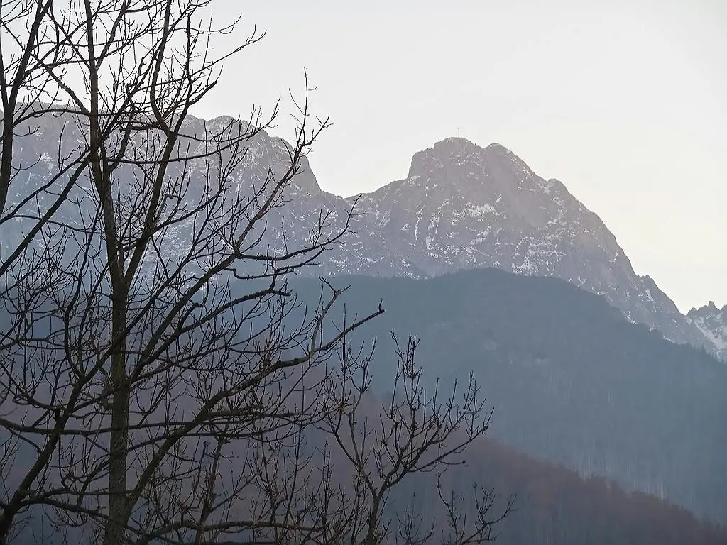 Apartament Willa Pod Halami Zakopane Kwatera prywatna